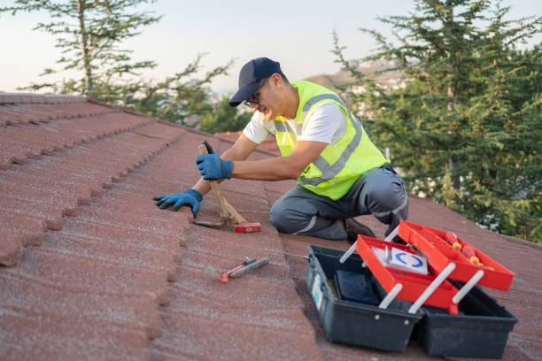 Residential Roof Replacement in Dunlap, IN