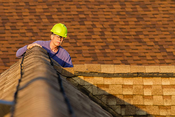Roof Gutter Cleaning in Dunlap, IN